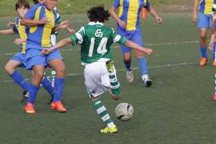 db gaming 官网-基层足球发展资源分配不均  第3张